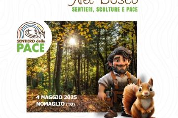 Comunicato stampa -