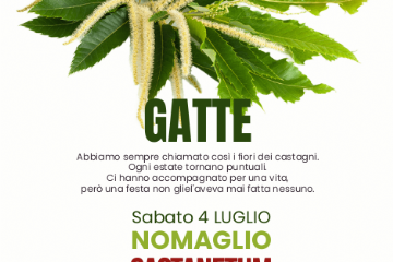 Festival dei Castagneti in Fiore